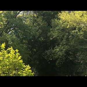 Meet your Posher, Mouchka